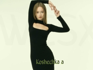 Koshechka_a