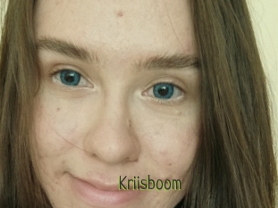 Kriisboom