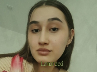 Lamareed