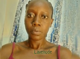 Lavenode
