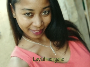 Laylahmorgane