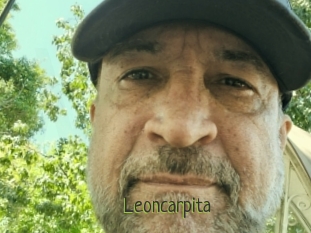 Leoncarpita