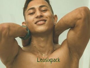 Leosixpack