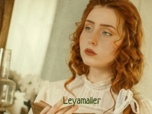 Leyamaller