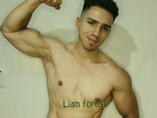 Liam_forest