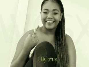Lillylotus