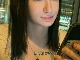 Lilygrows