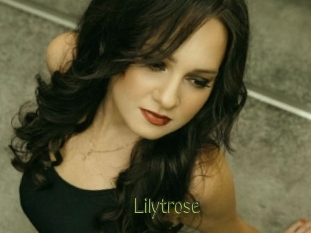 Lilytrose