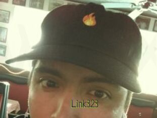Link323