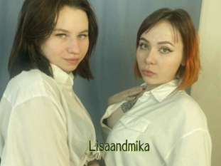 Lisaandmika