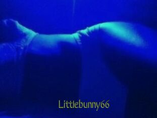 Littlebunny66