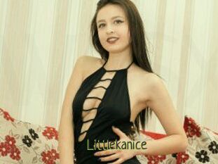 Littlekanice