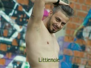 Littlemole