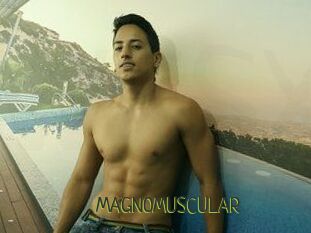 MAGNOMUSCULAR