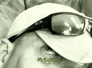 MrBigVoice