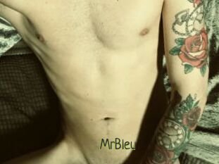 MrBleu