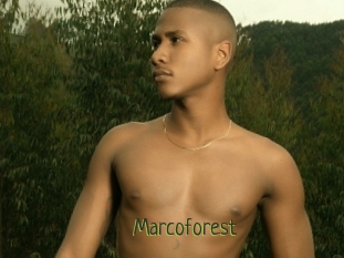 Marcoforest