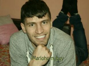 Mariohornyboy
