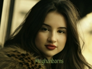 Meghanbarns