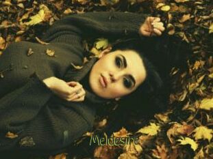 Meldesire
