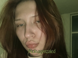 Melisagonzaled