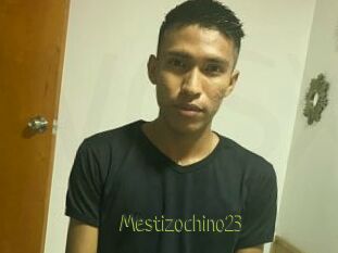 Mestizochino23