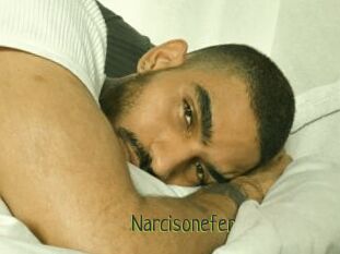 Narcisonefer