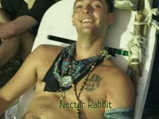 Nectar_Rabbit