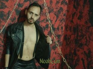 NoahCum
