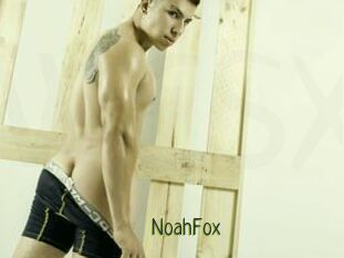 NoahFox