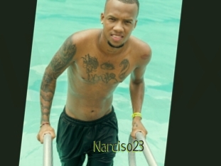 Narciso23