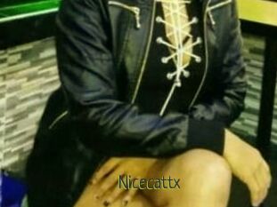 Nicecattx
