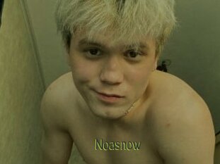 Noasnow