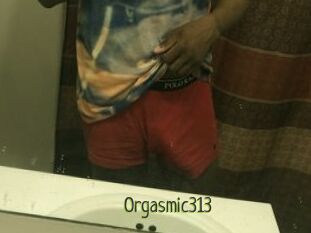 Orgasmic313