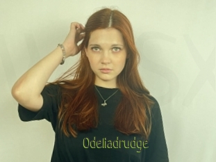 Odeliadrudge