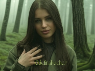 Odelinabucher