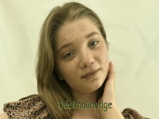 Odelindahedge