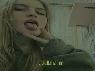 Odellahamm