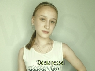 Odellahessel