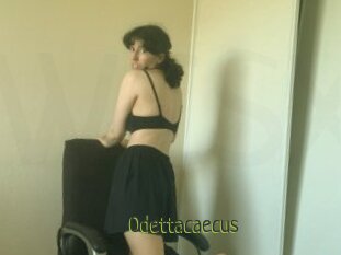 Odettacaecus