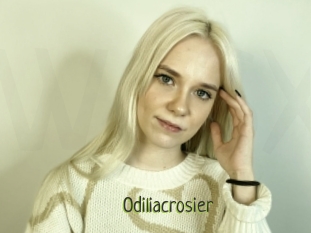 Odiliacrosier