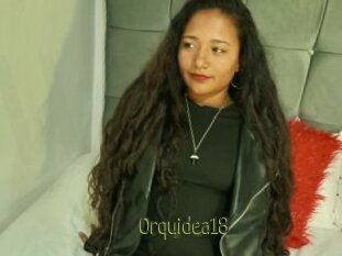 Orquidea18