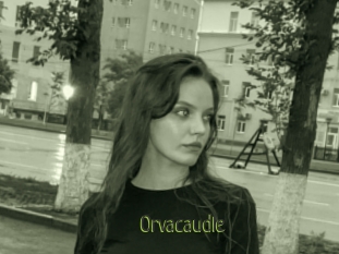 Orvacaudle