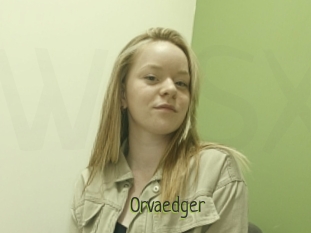 Orvaedger
