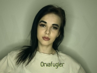 Orvafugler
