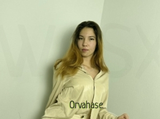 Orvahase