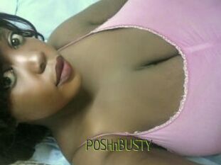 POSHnBUSTY