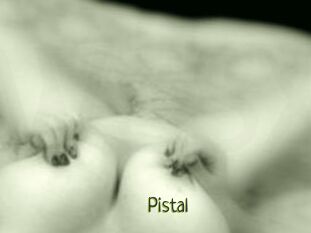 Pistal