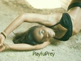 PlayfulPrey