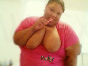 Pudgy